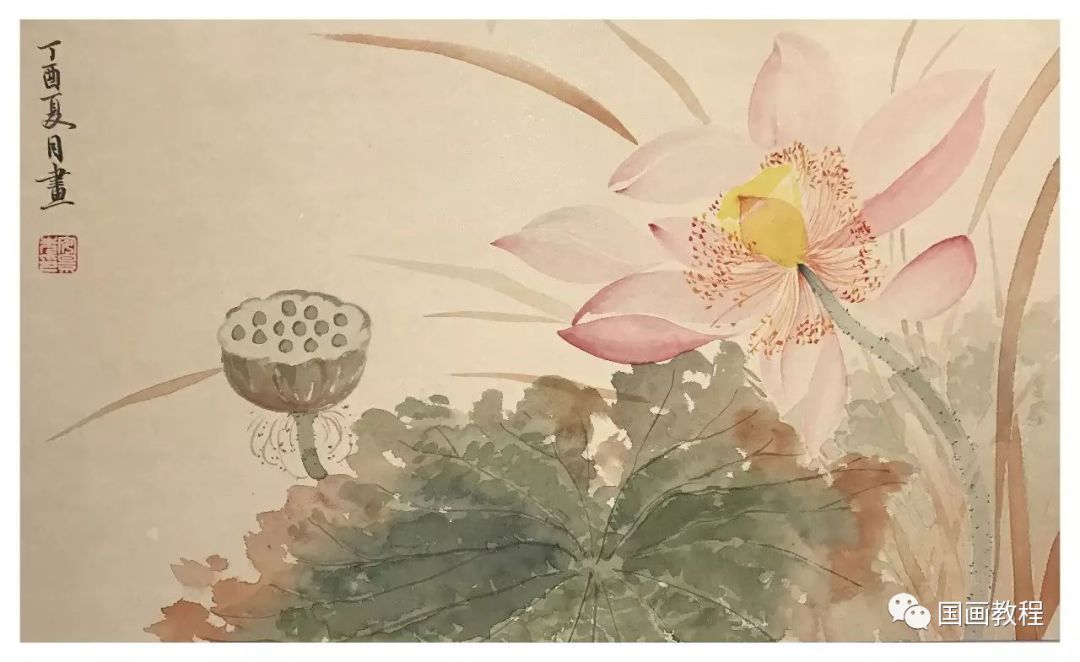 国画教程没骨花卉果蔬之石榴画法