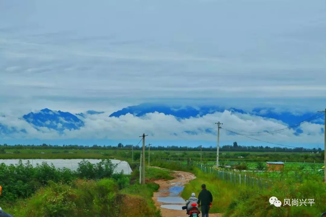 雨后兴平变仙境!20日将迎晴好天气