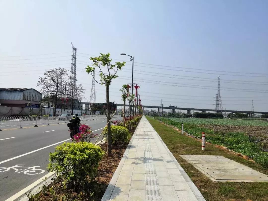 广兴路—乡道y931线04榄核镇星海路y919线星海路y919线起点连接榄