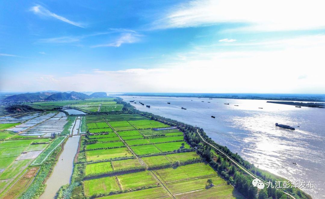 江西日报头版头条报道彭泽县绿色引领推动高质量发展