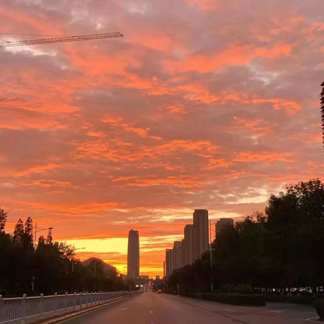 今天早晨日照人的朋友圈被她刷屏也太美了吧