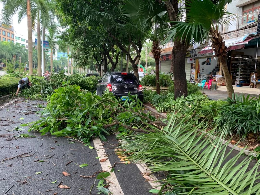午后时分妖风突然来袭,玉林城区一片狼藉.