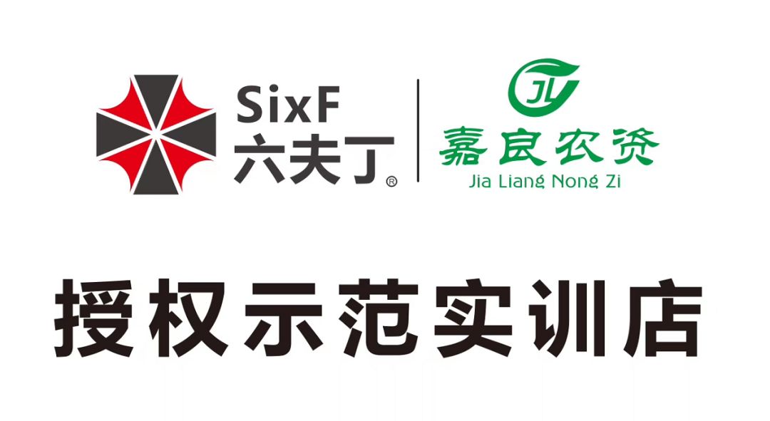 总结提升,收获成长 | 六夫丁新员工中牟实训总结