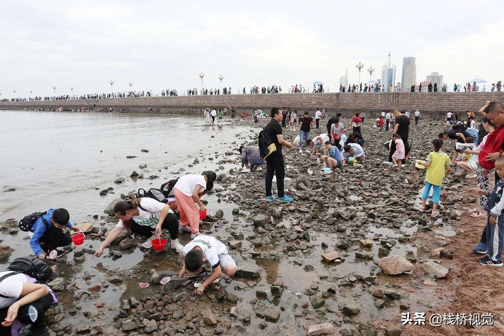 青島:棧橋假日趕海樂