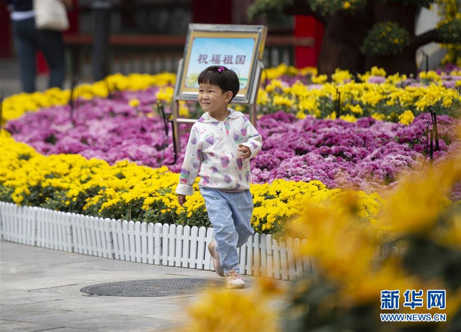 小朋友赏菊花图片