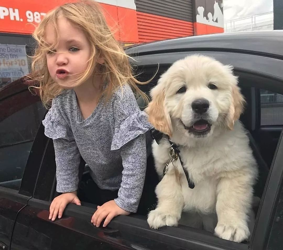 大型犬和小型犬哪个更适合陪伴孩子成长