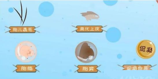 足月时,每天尿量可达650毫升,呼吸道分泌物也能进入羊水,每天有150