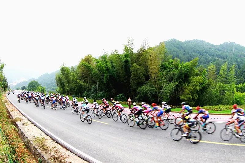 直播預告2019第十屆環鄱陽湖國際自行車大賽贛州上猶首站開閉幕式全程