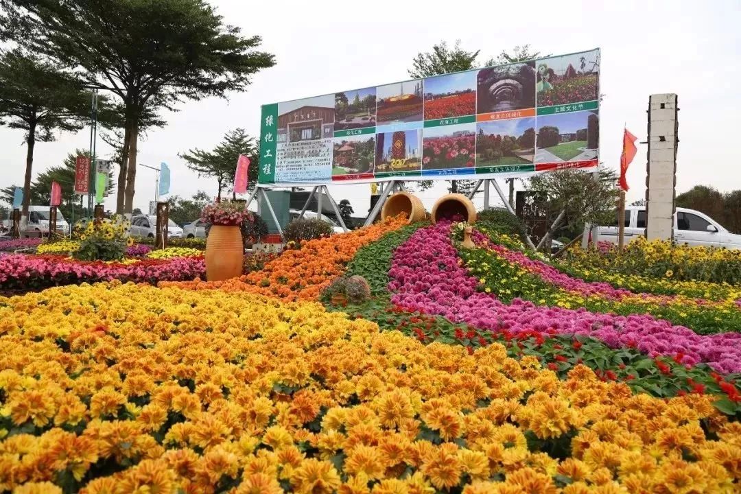 广州顺德花卉种植基地图片