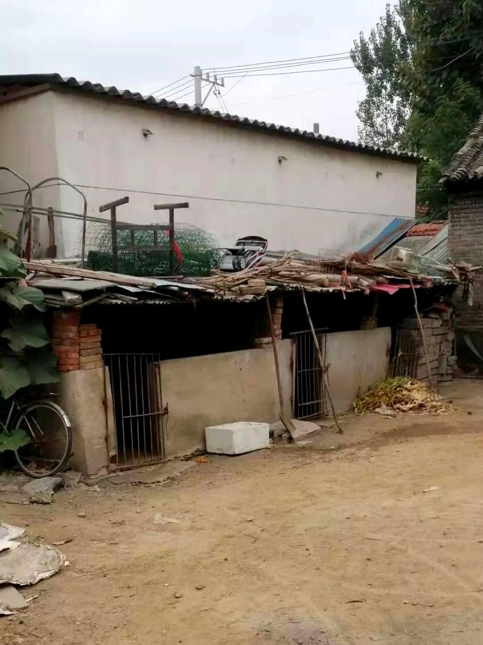 农村是一个多么常见的词语,但也是很多人的老家.