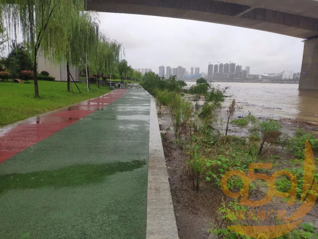 多图记录实时水情!