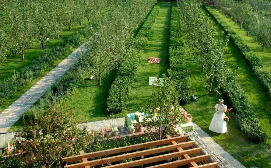 采摘游玩踏青垂钓森泰庄园的乐趣说不完