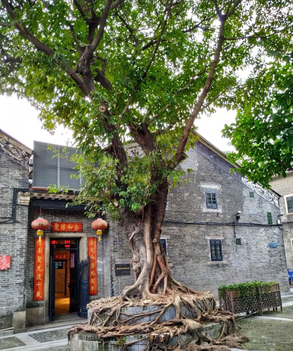 在广州聚龙古村转了一圈进去做了一次广府人家的光绪新娘刺激