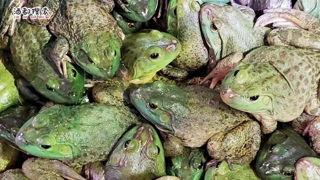 前一分钟活蹦乱跳的美蛙正在动作麻溜嘞打整美蛙一旁的阿姨摆满了各种