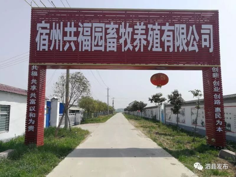 探寻泗县养殖场：一场生态农业的变革