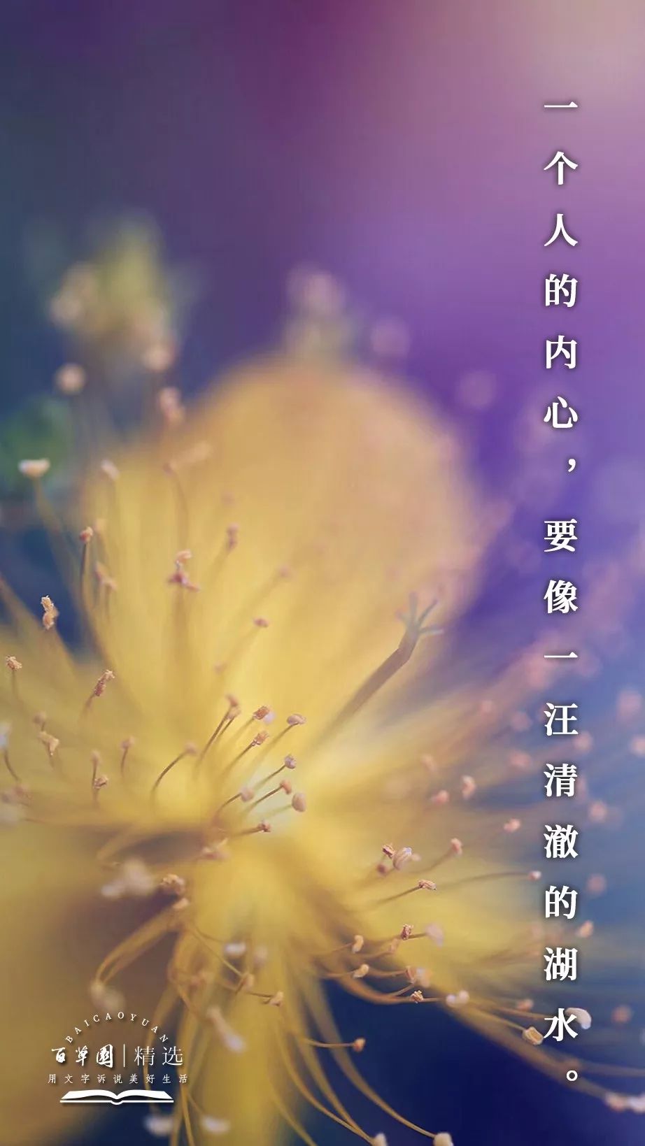 生活禅 | 一个人的内心,要像一汪清澈的湖水