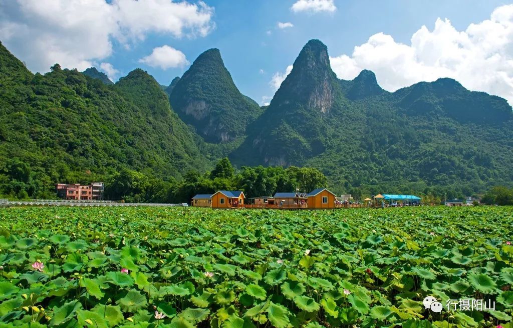 阳山高清大片美翻了盆友圈