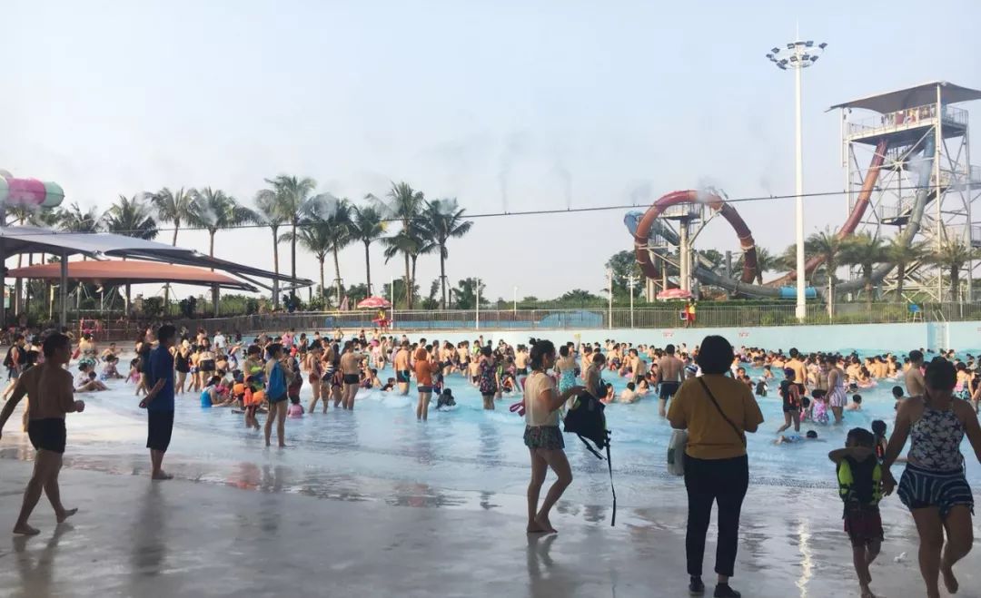 中秋小长假龙华区全域旅游绽放光彩