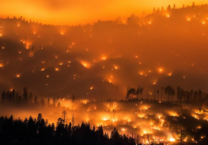 原创f系列亮相反恐战场数轮轰炸下森林化为一片火海