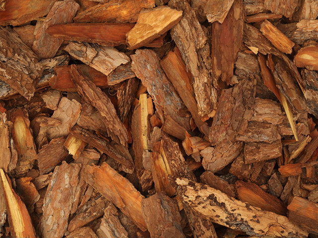 1,藏须木到中年,怎么才能渡过这条坎呢?