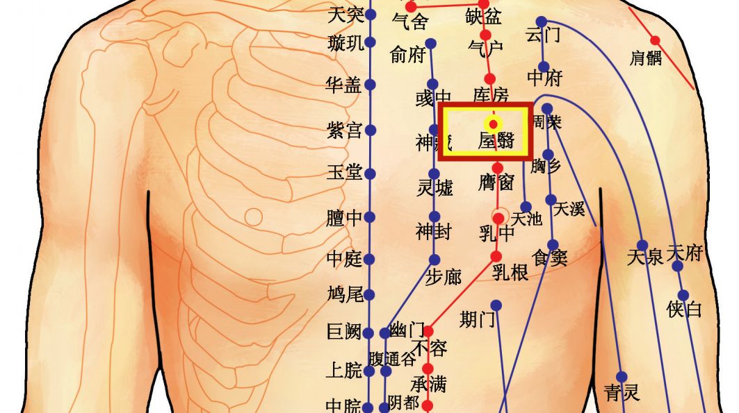 屋翳准确位置图和作用图片