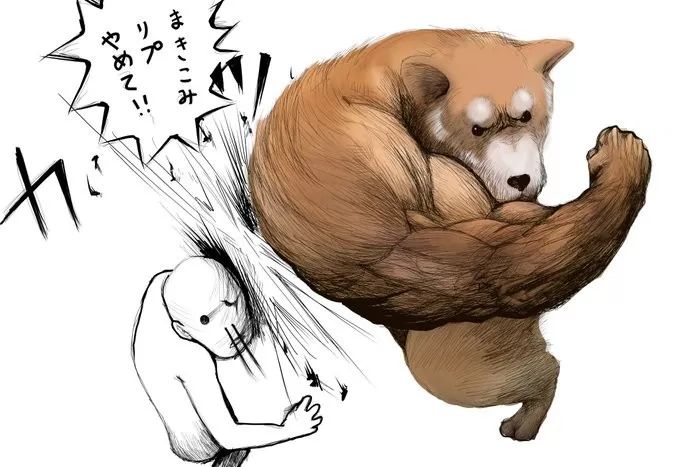 楼上的兄弟,我给你填个色!一拳超犬!玩胖次!肌肉柴犬,在线打拳!