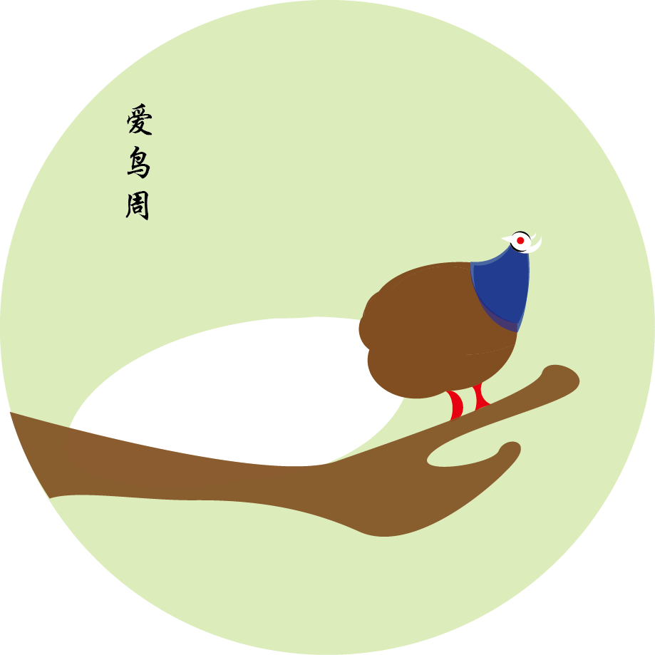 "爱鸟周"标识及2020年活动主题,海报征集优秀作品展示
