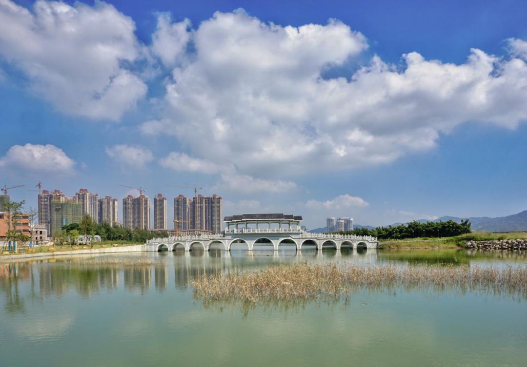 作品显示这没有标题没有点评但就是好看