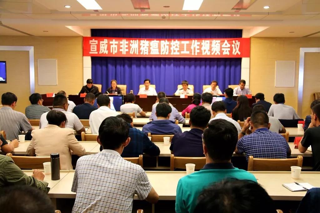 宣威市人民政府召开非洲猪瘟防控工作视频会议