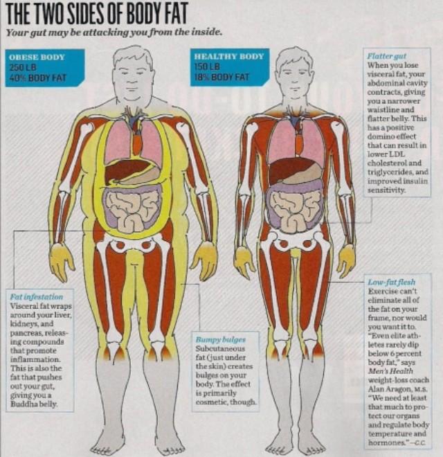 想跑步减肥可肚子内的脂肪只跑步可减不掉