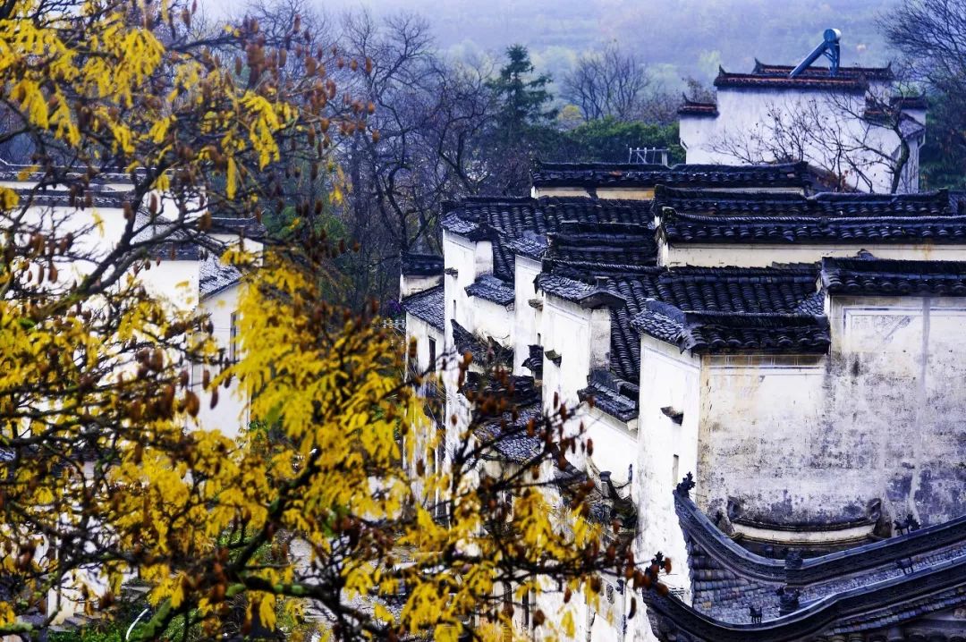 中国3大赏秋地之一这座徽州小村光看图就已醉
