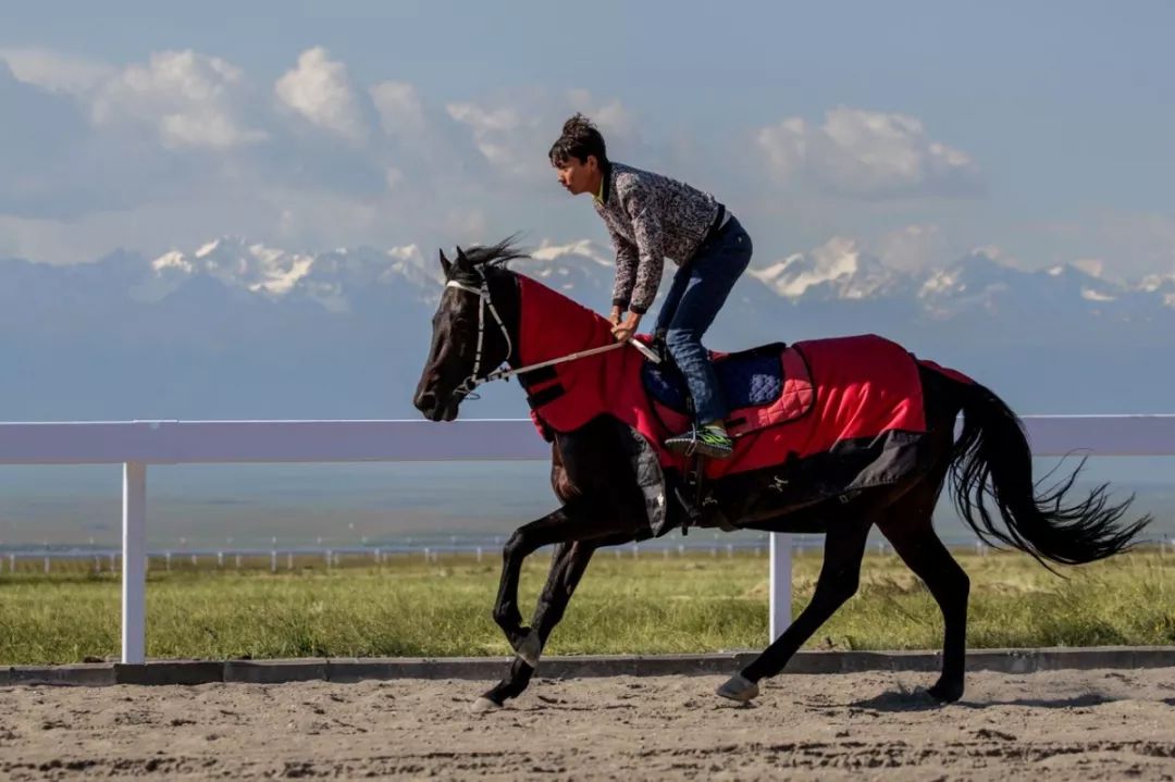 新疆人骑马上学终于正名了在新疆必会7个技能简直不能再正确了