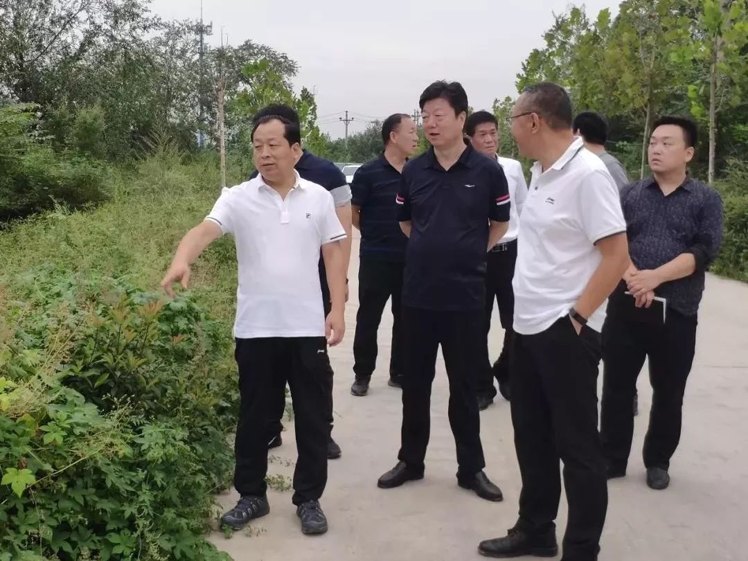 实地走访 现场把脉 峰峰矿区区长陈珍礼督导大气污染防治工作