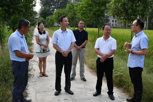 罗山县县长汪图片