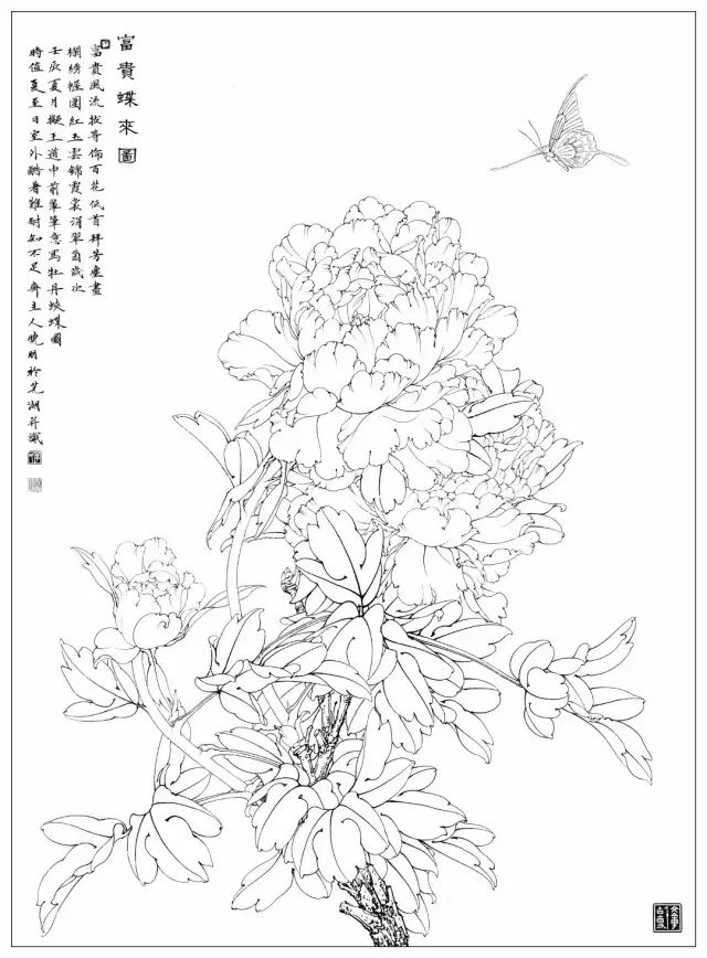 图文教程丨李晓明富贵蝶来图设色步骤含详细文字解析