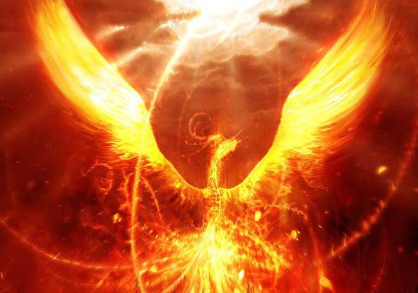 三亚凤凰岛的烈火自焚与重生