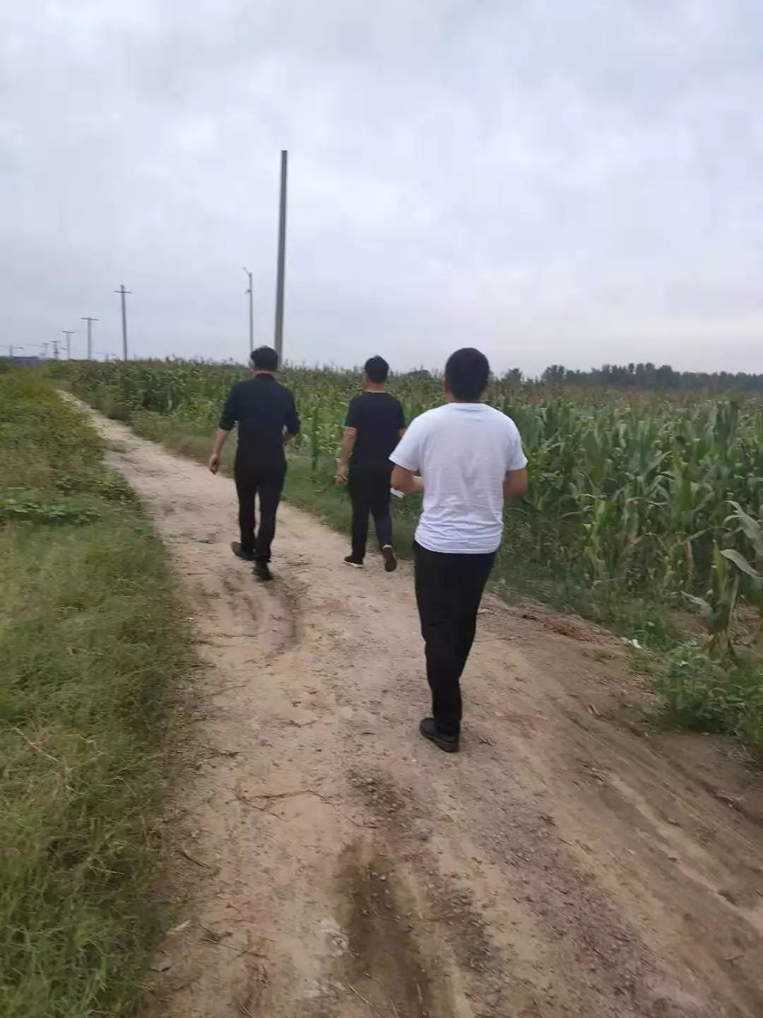 详情发布聊城市临清烟店重大刑事案件侦破纪实