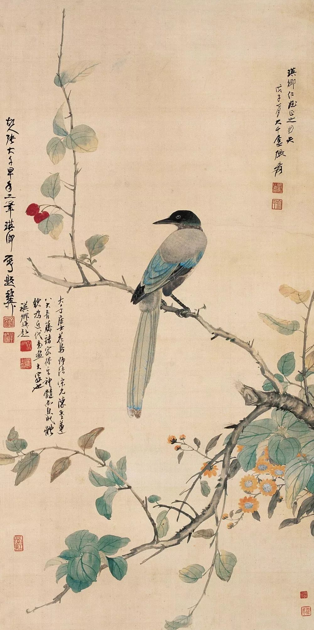 珍藏|张大千花鸟画(100幅)_工笔