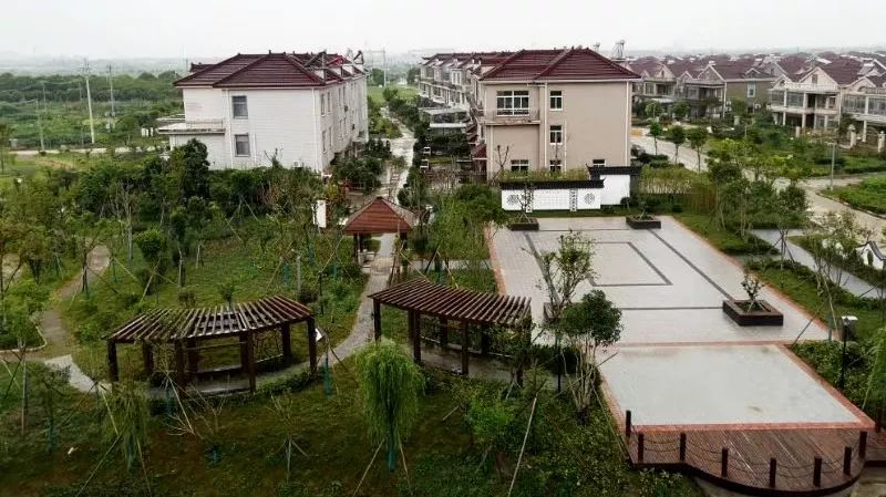 乡村振兴何桥村江南水韵生态何桥