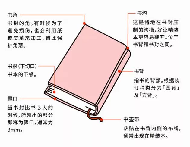 外观上主要构成书籍的各部位包括 书脚