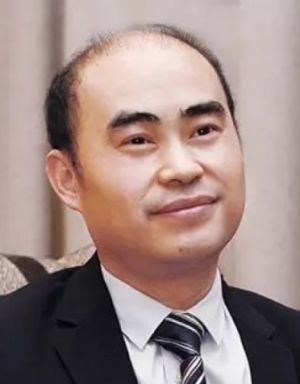 陈茂教授四,结构性心脏病领域(一)发展历程结构性心脏病是先天性或