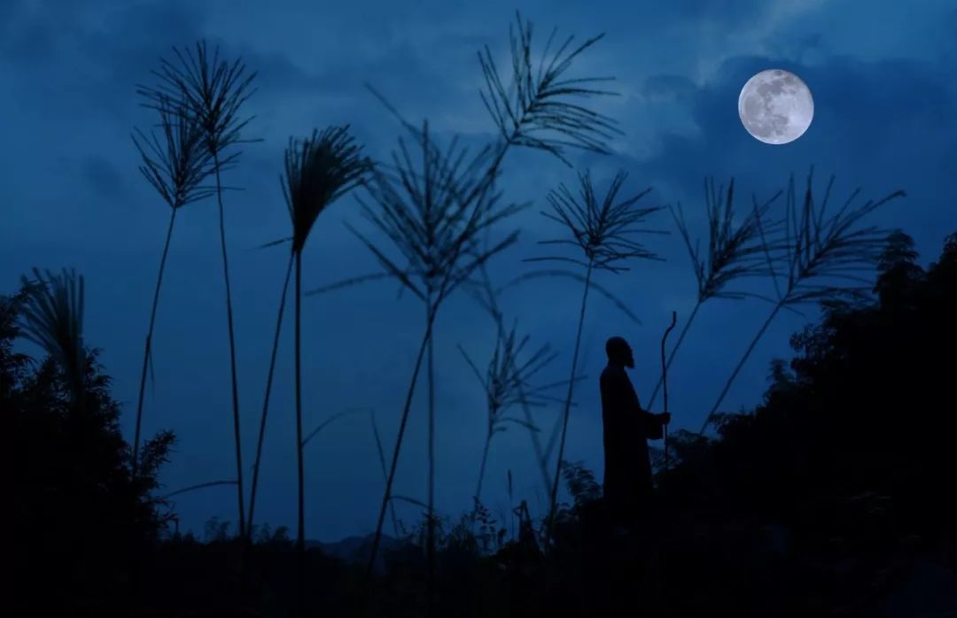 空长入定觉性者通玄沐浴天台山的蓝辉任月光盈盈明暗处保持正念月影下