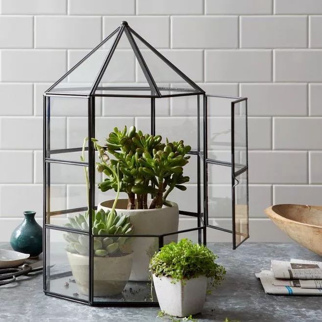 玻璃瓶中的花园