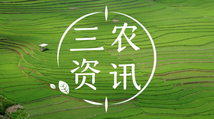 产地直供——打破传统采购链的革新之路