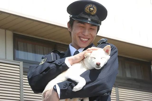 日本警察略帽图片