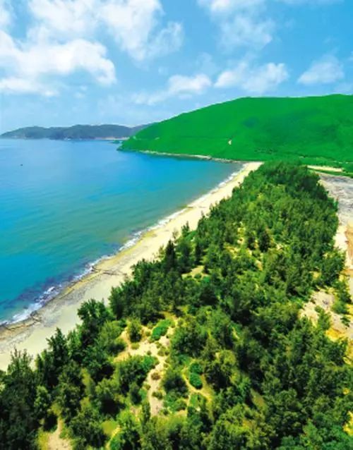 9公里宜林海岸已营建防护林带2885公里,宜林海岸线绿化率达89.