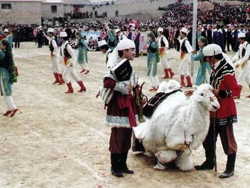 民族名片撒拉族生活在青藏高原边缘的民族