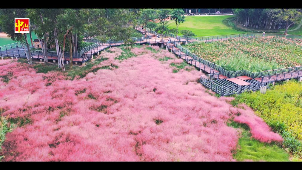 超级美一年不见金钟水库变化很大惊艳到你了吗