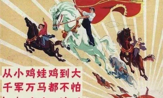 小升初民办初中实行摇号后育儿是否就此告别“鸡娃现状”(图6)