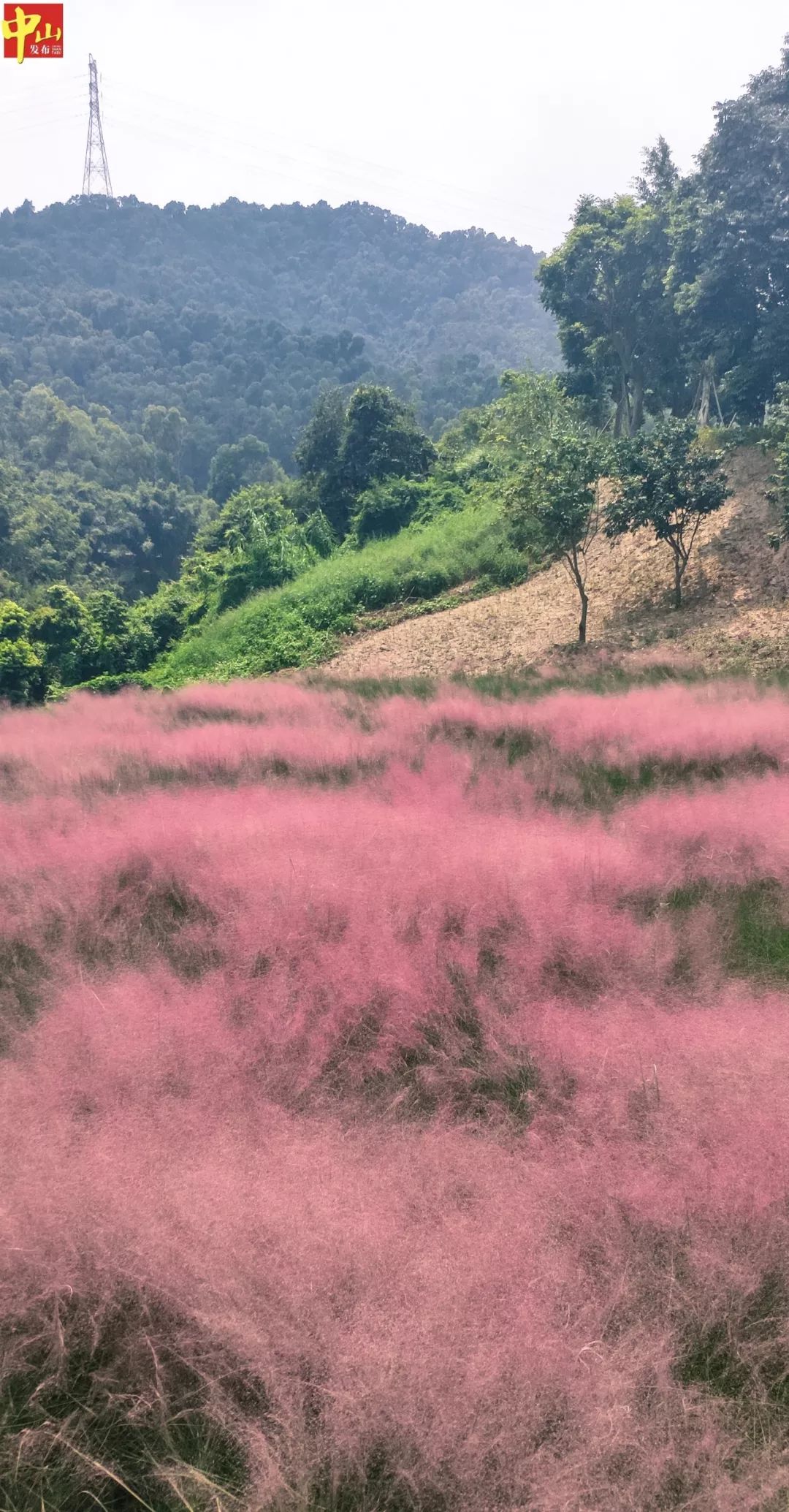 金钟水库景点介绍图片